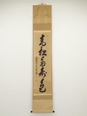 前大徳足立泰道筆　「青松多寿色」一行書　肉筆紙本掛軸（共箱）